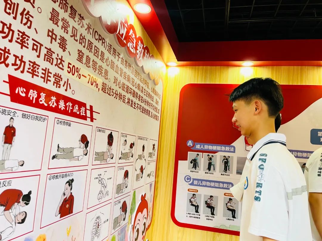 澳门新葡京app