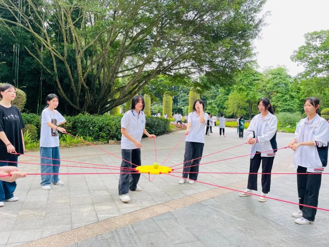 澳门新葡京app