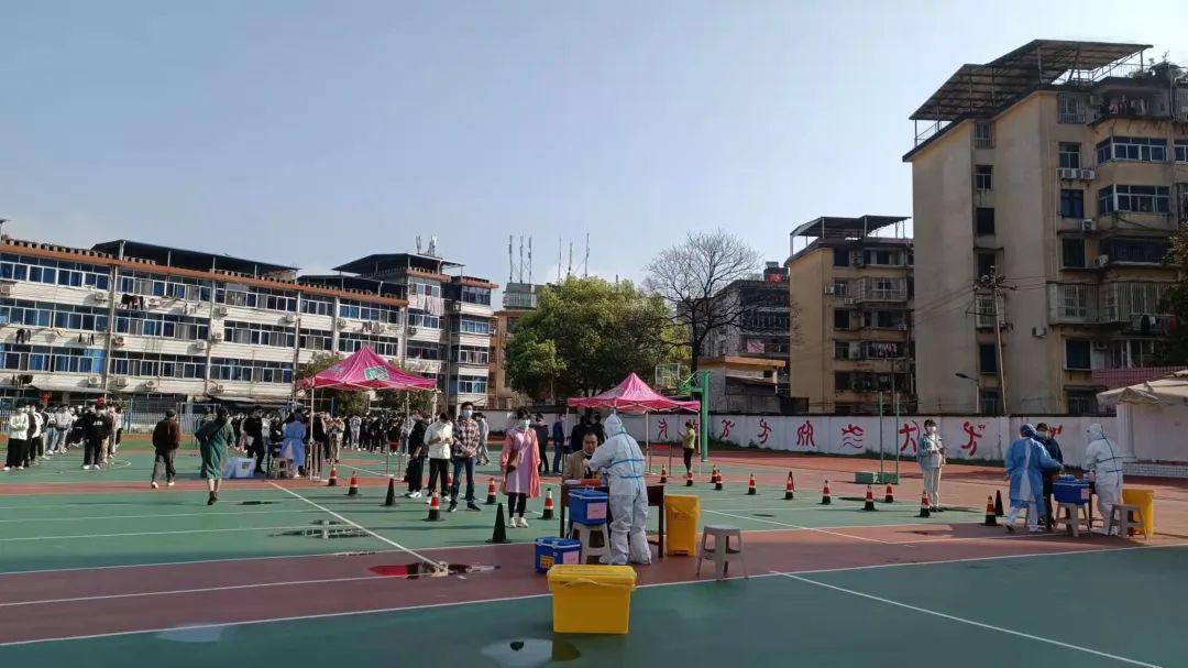 澳门新葡京app