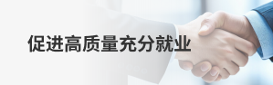 促进高质量充分就业
